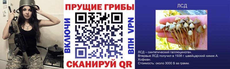 Галлюциногенные грибы мицелий  Купить  Елизаветинская 